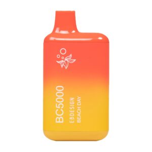 ELF BAR BC5000 Disposable 5000 ρουφηξιές Beach Day 13 ml